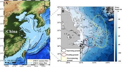 The change of environmental factors in the water near the Yangtze Estuary may induce the change of large yellow croaker fishery location there